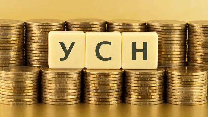 Упрощенная система налогообложения (УСН). Плюсы и минусы.